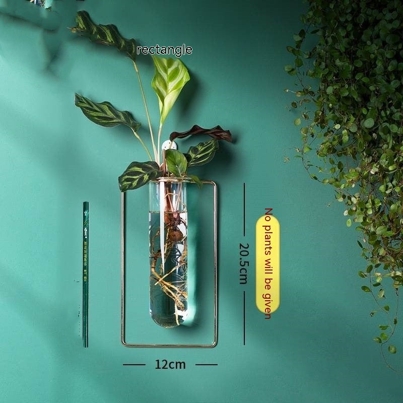 Wall-mounted Hydroponic Flowerpot - Hanging Vase Decoration