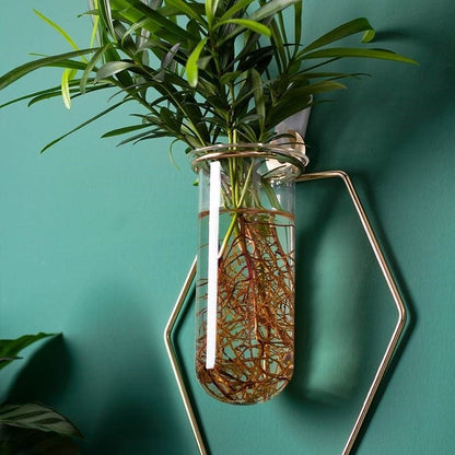 Wall-mounted Hydroponic Flowerpot - Hanging Vase Decoration