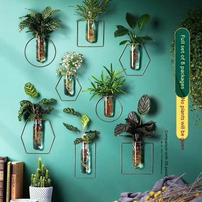 Wall-mounted Hydroponic Flowerpot - Hanging Vase Decoration