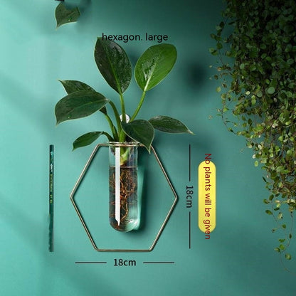 Wall-mounted Hydroponic Flowerpot - Hanging Vase Decoration