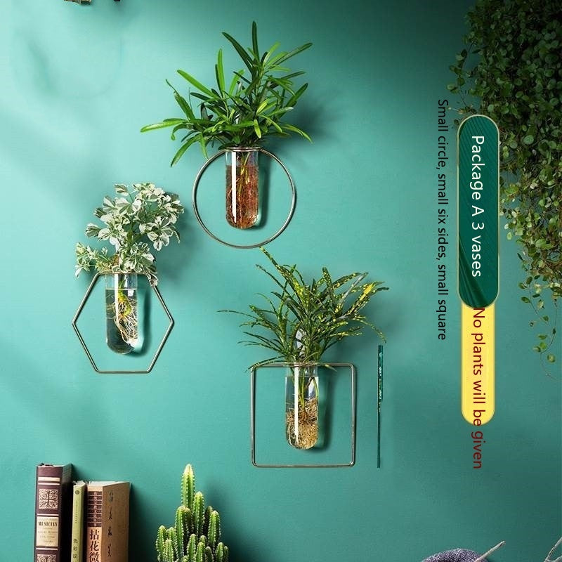 Wall-mounted Hydroponic Flowerpot - Hanging Vase Decoration