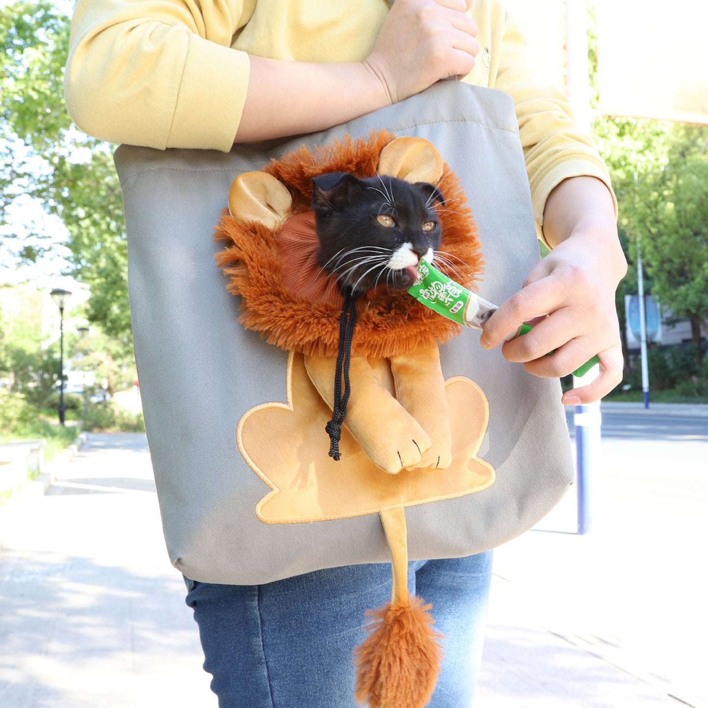 Lion-Themed Soft Pet Carrier – Portable & Breathable Travel Bag for Cats and Small Dogs