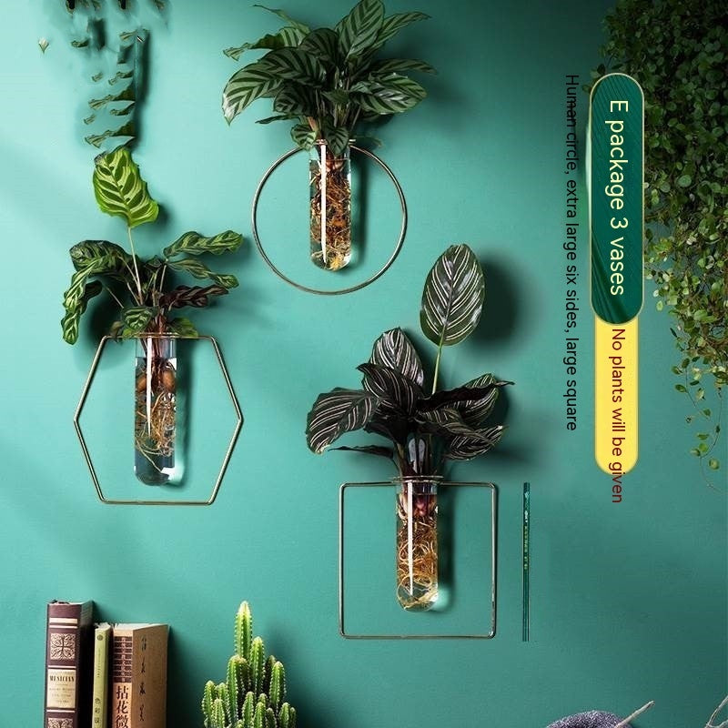 Wall-mounted Hydroponic Flowerpot - Hanging Vase Decoration