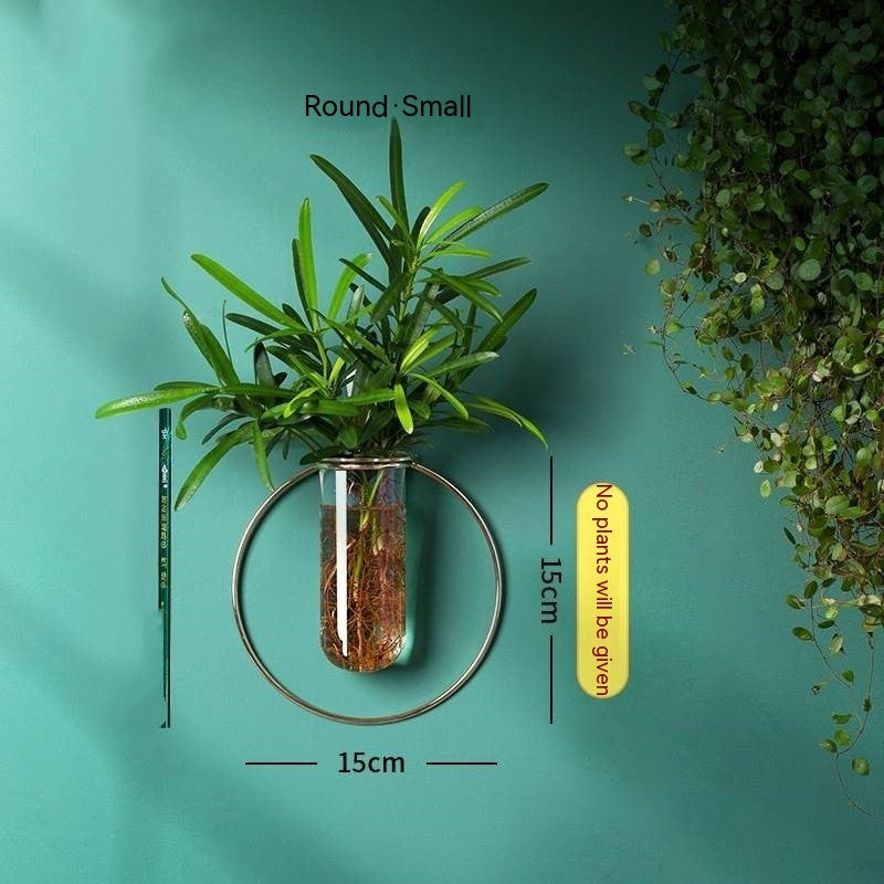 Hydroponischer Blumentopf zur Wandmontage – hängende Vasendekoration