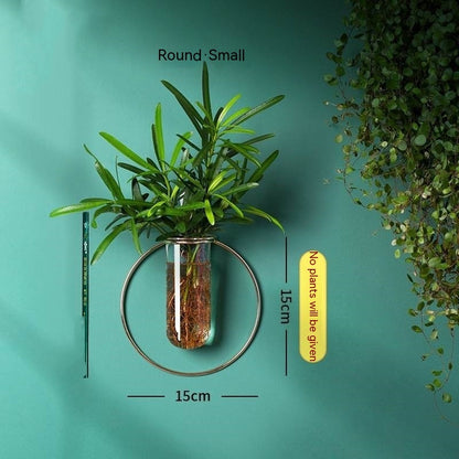 壁掛け水耕植木鉢 - 吊り下げ花瓶装飾