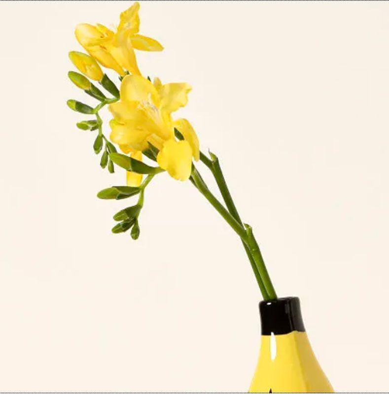 Creative Banana Vase for Unique Flower Arrangements – Home Decor