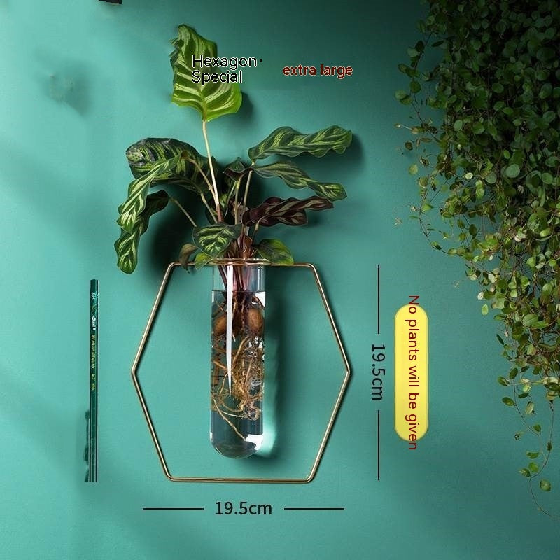 Wall-mounted Hydroponic Flowerpot - Hanging Vase Decoration