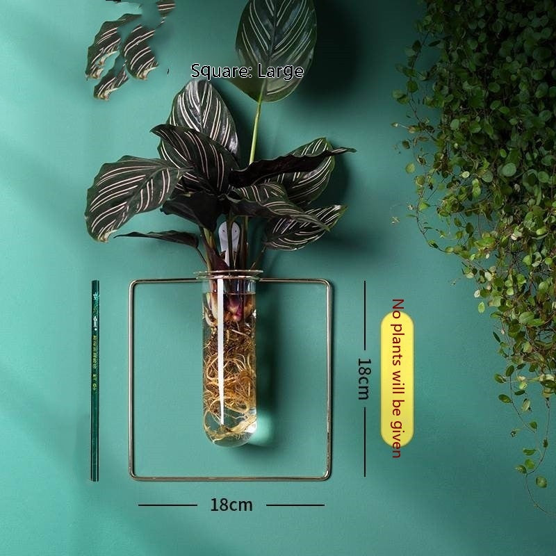 Wall-mounted Hydroponic Flowerpot - Hanging Vase Decoration