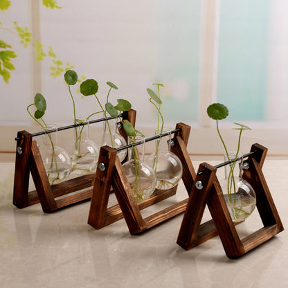 Contenedor de plantas hidropónicas con soporte de madera oscilante - Florero de vidrio