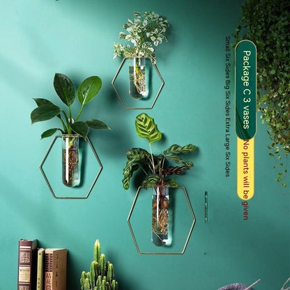 Wall-mounted Hydroponic Flowerpot - Hanging Vase Decoration