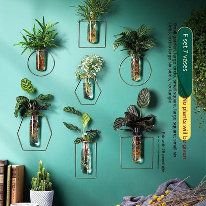 Wall-mounted Hydroponic Flowerpot - Hanging Vase Decoration