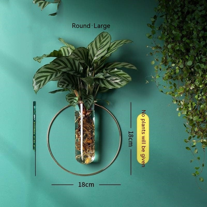 Wall-mounted Hydroponic Flowerpot - Hanging Vase Decoration