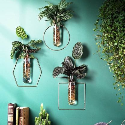 Wall-mounted Hydroponic Flowerpot - Hanging Vase Decoration