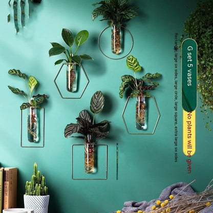 Wall-mounted Hydroponic Flowerpot - Hanging Vase Decoration