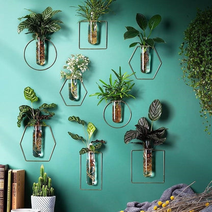 Wall-mounted Hydroponic Flowerpot - Hanging Vase Decoration